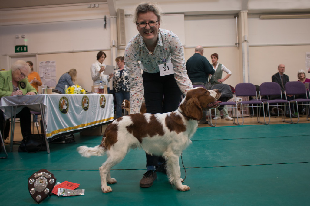 Minor Puppy Dog Minor Puppy Dog